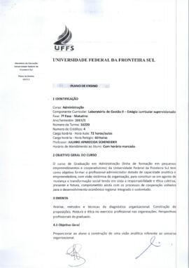 Estágio Curricular Supervisionado - II