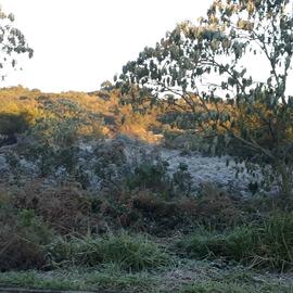 Paisagens de inverno no Campus Chapecó