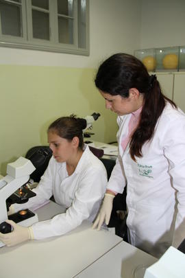 Laboratório de Microscopia