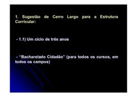 Sugestão de Cerro Largo para a Estrutura Curricular – 2008