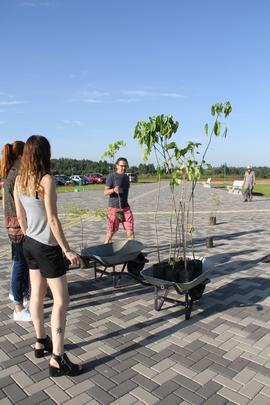 Plantio de árvores no Campus Chapecó