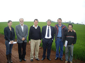 Planejamento da construção do campus Realeza