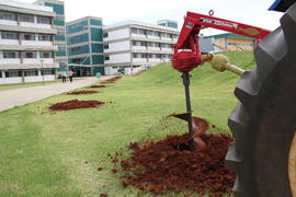 Plantio de árvores no Campus Chapecó
