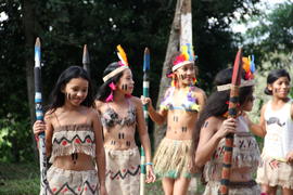 Terra indígena Toldo Chimbangue