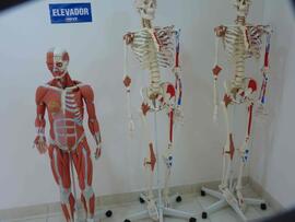 Inauguração do Laboratório de Anatomia - Campus Passo Fundo