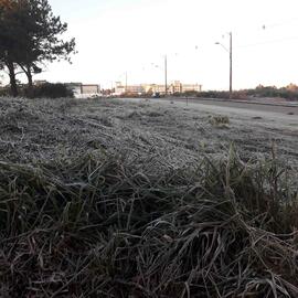 Paisagens de inverno no Campus Chapecó