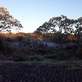 Paisagens de inverno no Campus Chapecó